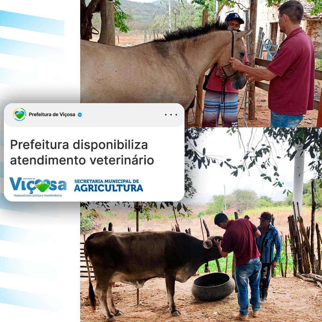 Prefeitura de Viçosa disponibiliza atendimento veterinário